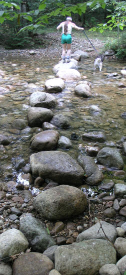 Paugus Brook stepping stones
